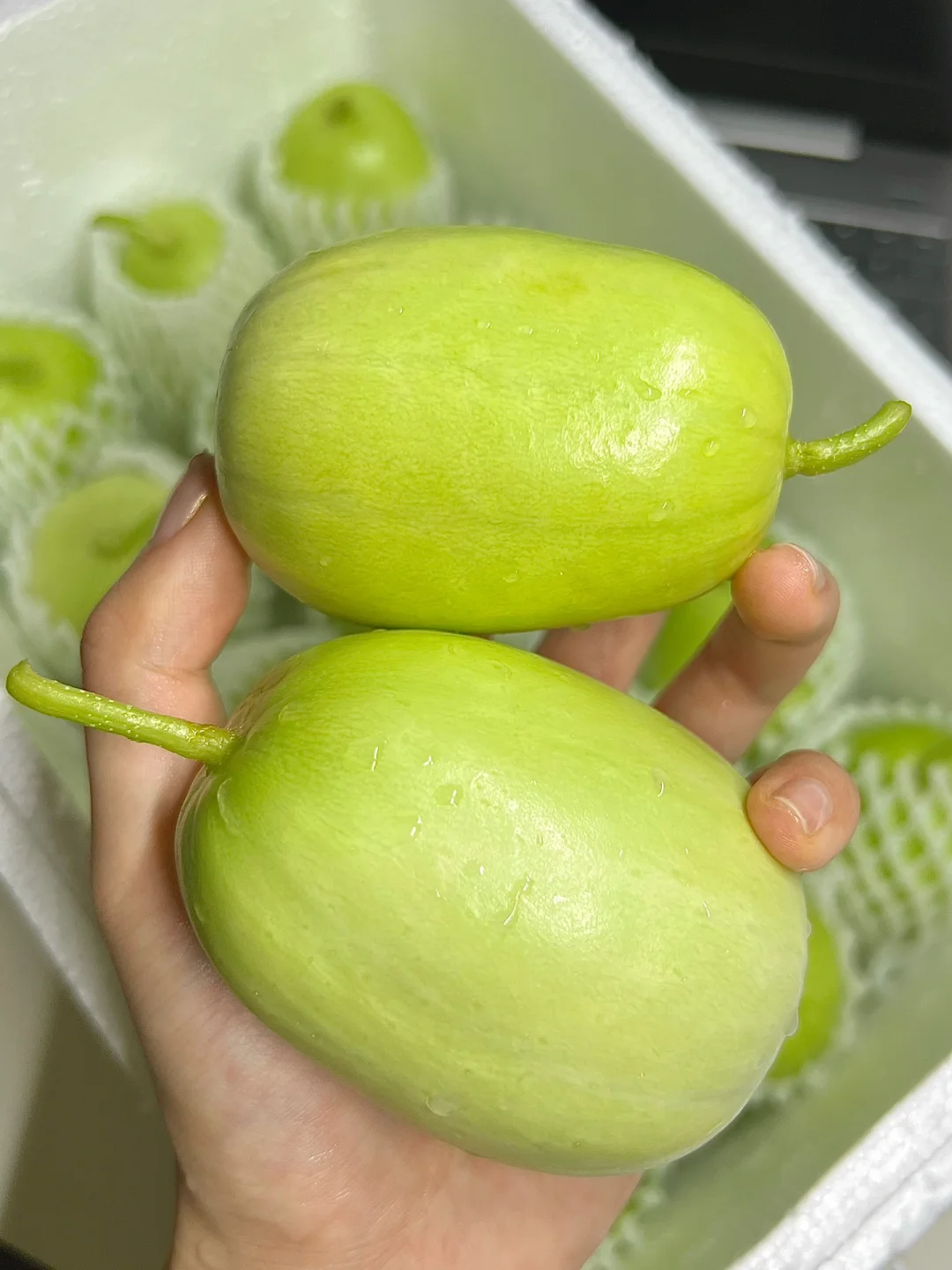 🌟 Jade Lady Cucumber Seeds🥒