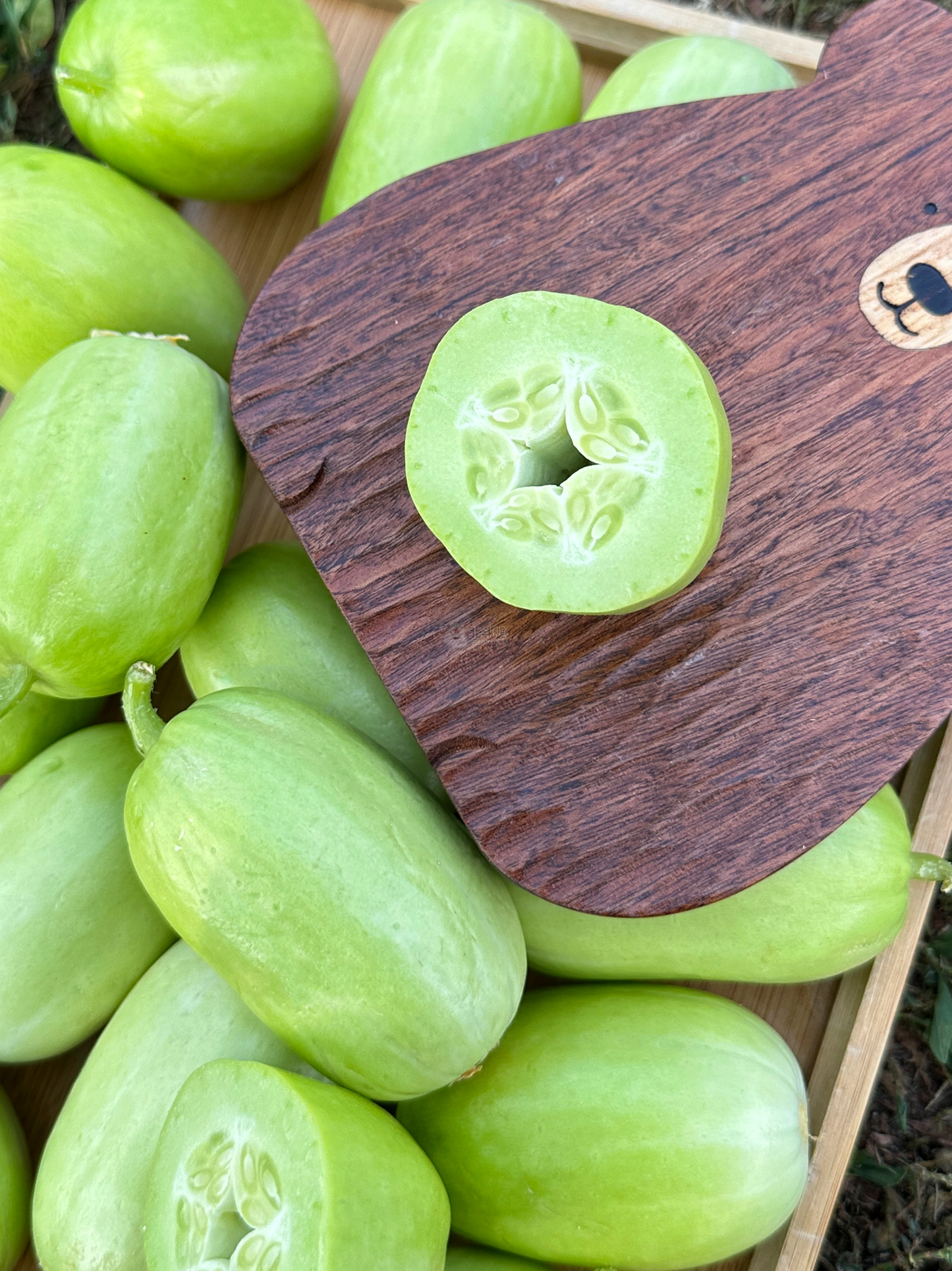 🌟 Jade Lady Cucumber Seeds🥒