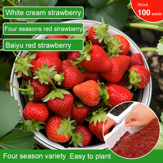 🔥All-year-round strawberry seeds🍓