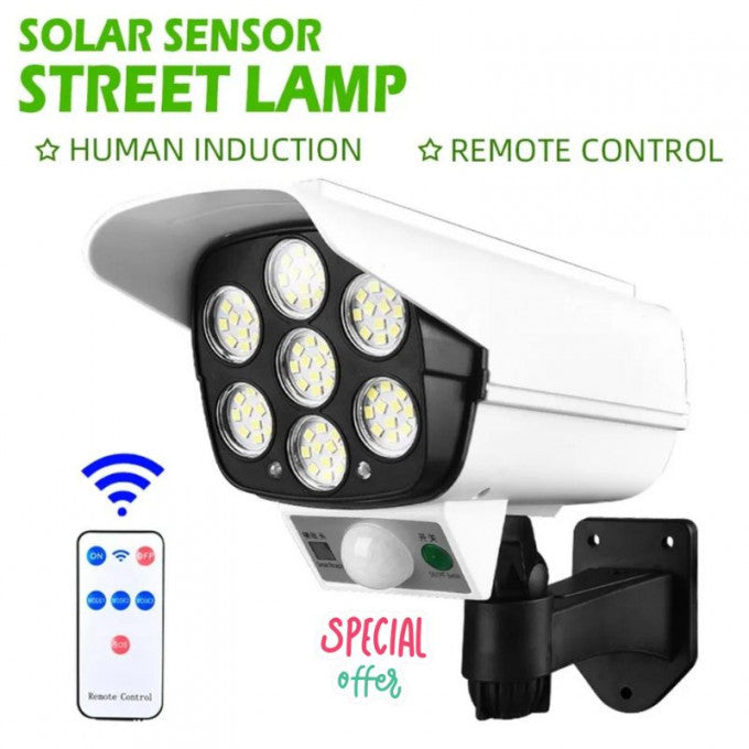 Solar Motion Sensor Ligh