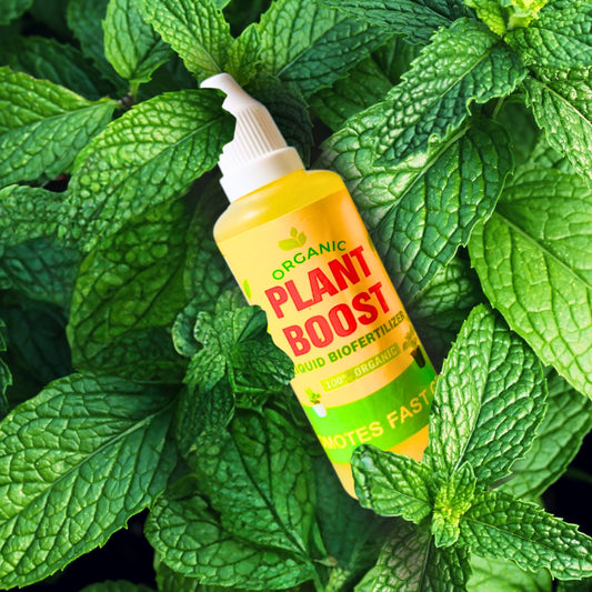 Organic Plant Boost Liquid Bio Fertilizer 🪴